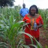 field inspection of ffs farm